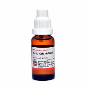 Sante Blatta Orientalis